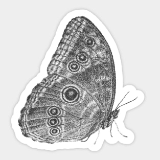 Owl Butterfly Sticker